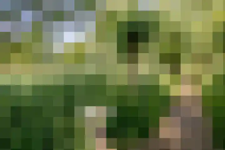 De Velden 12 Schiedam thumbnail 35