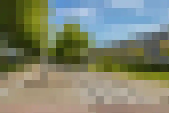 De Velden 12 Schiedam thumbnail 36