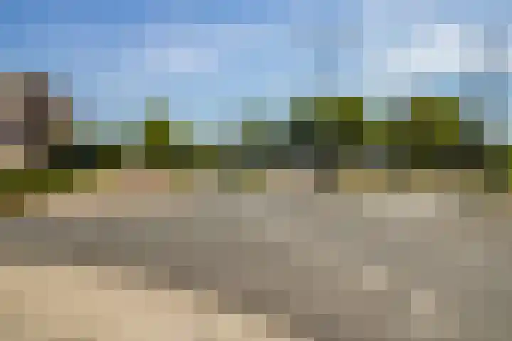 De Velden 12 Schiedam thumbnail 37