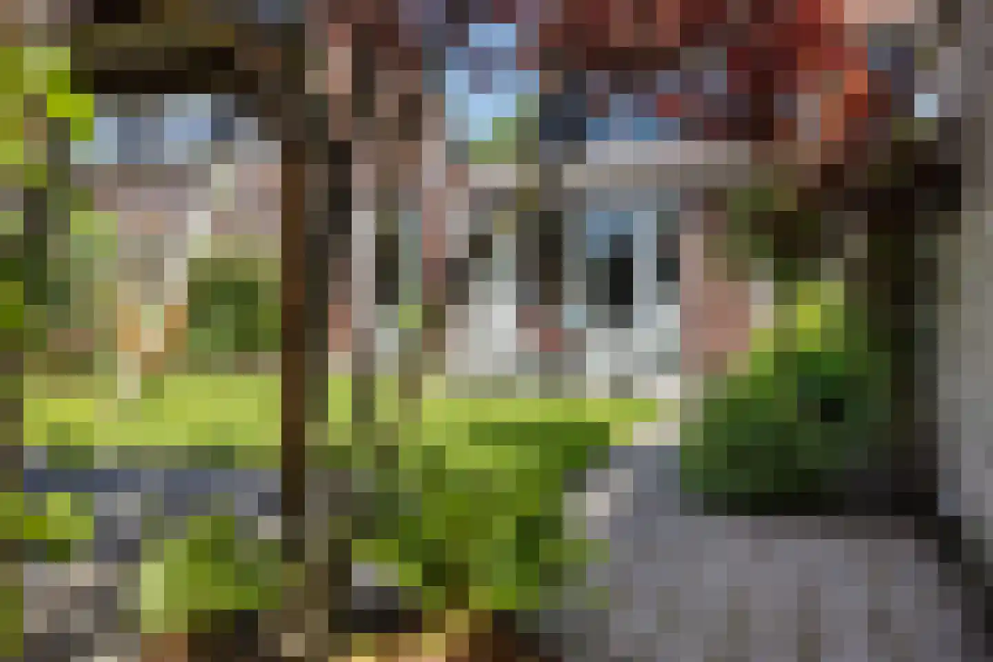 De Velden 22 Drachten thumbnail 39