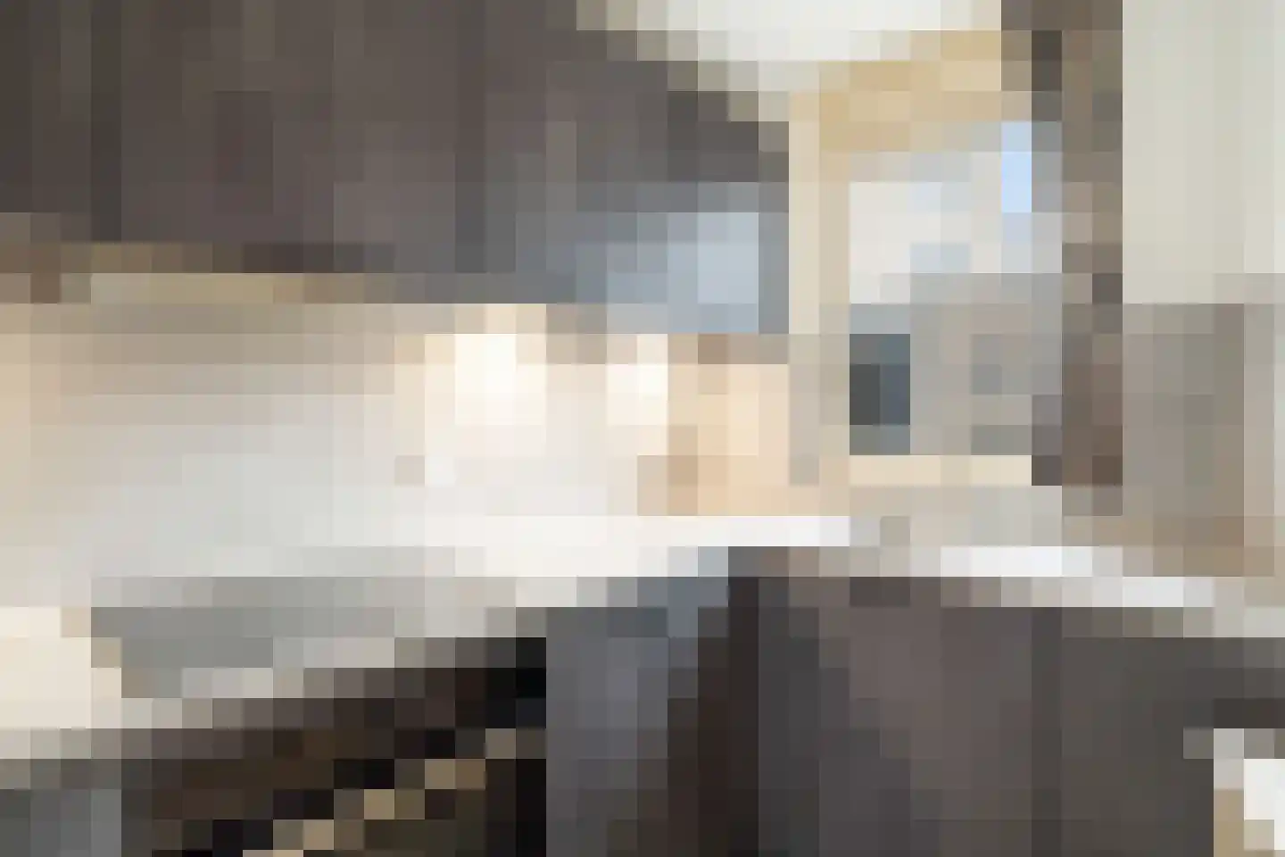 De Velden 220 Schiedam thumbnail 34