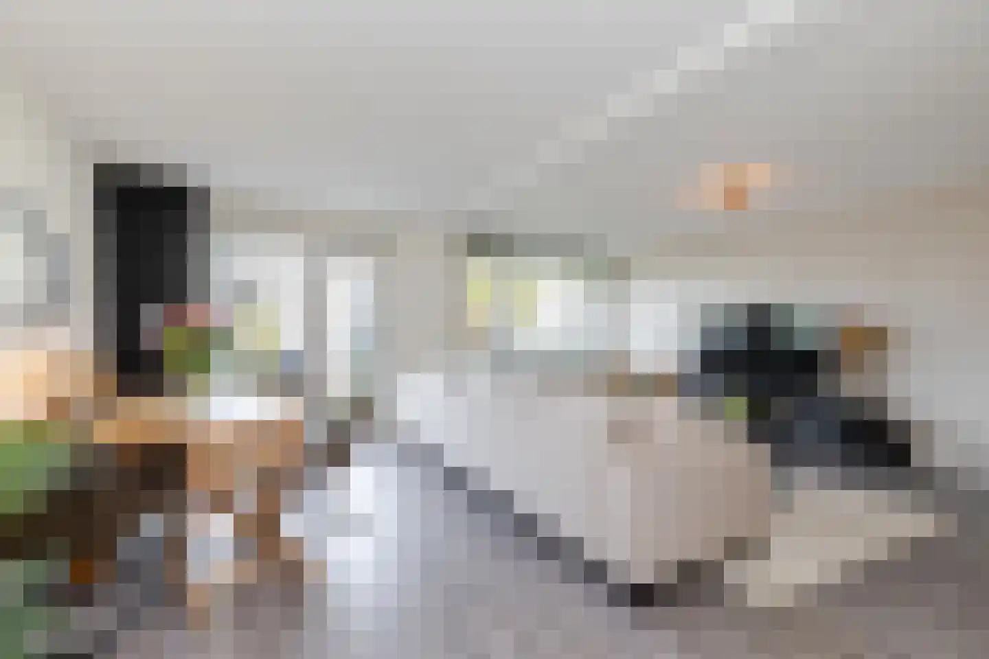 De Velden 24 Schiedam thumbnail 15