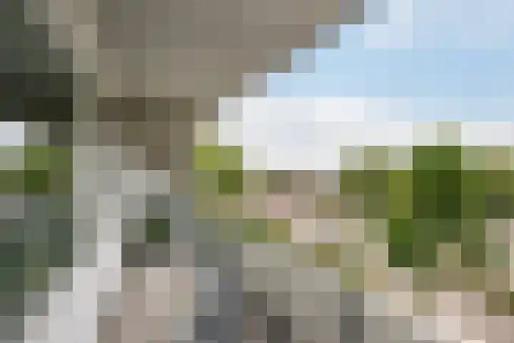 De Velden 34 Schiedam thumbnail 9