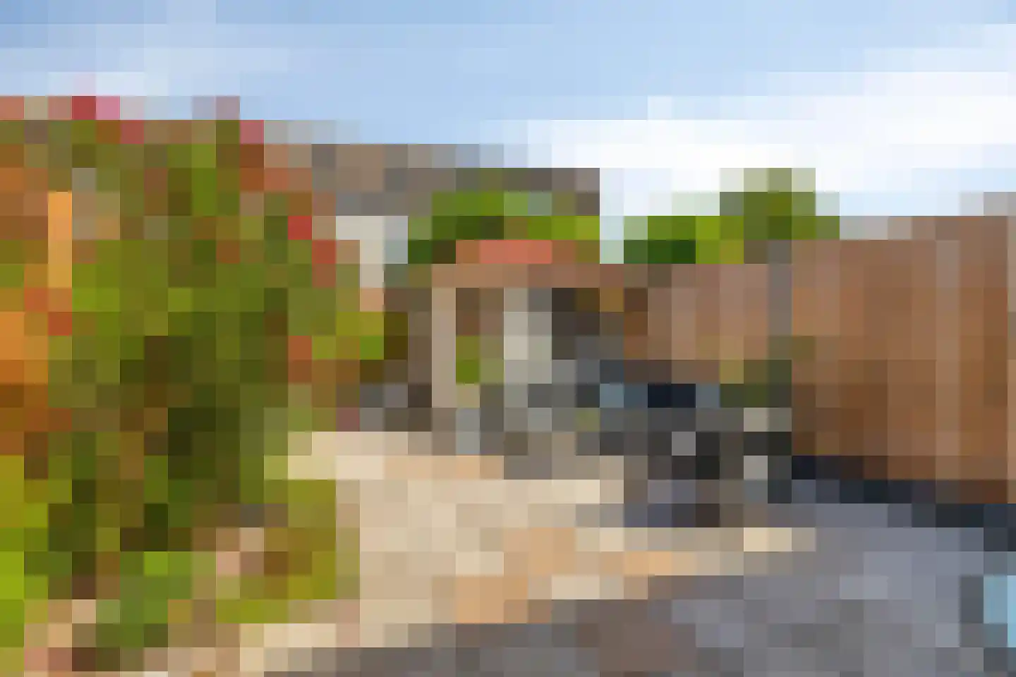De Velden 35 Schiedam thumbnail 22