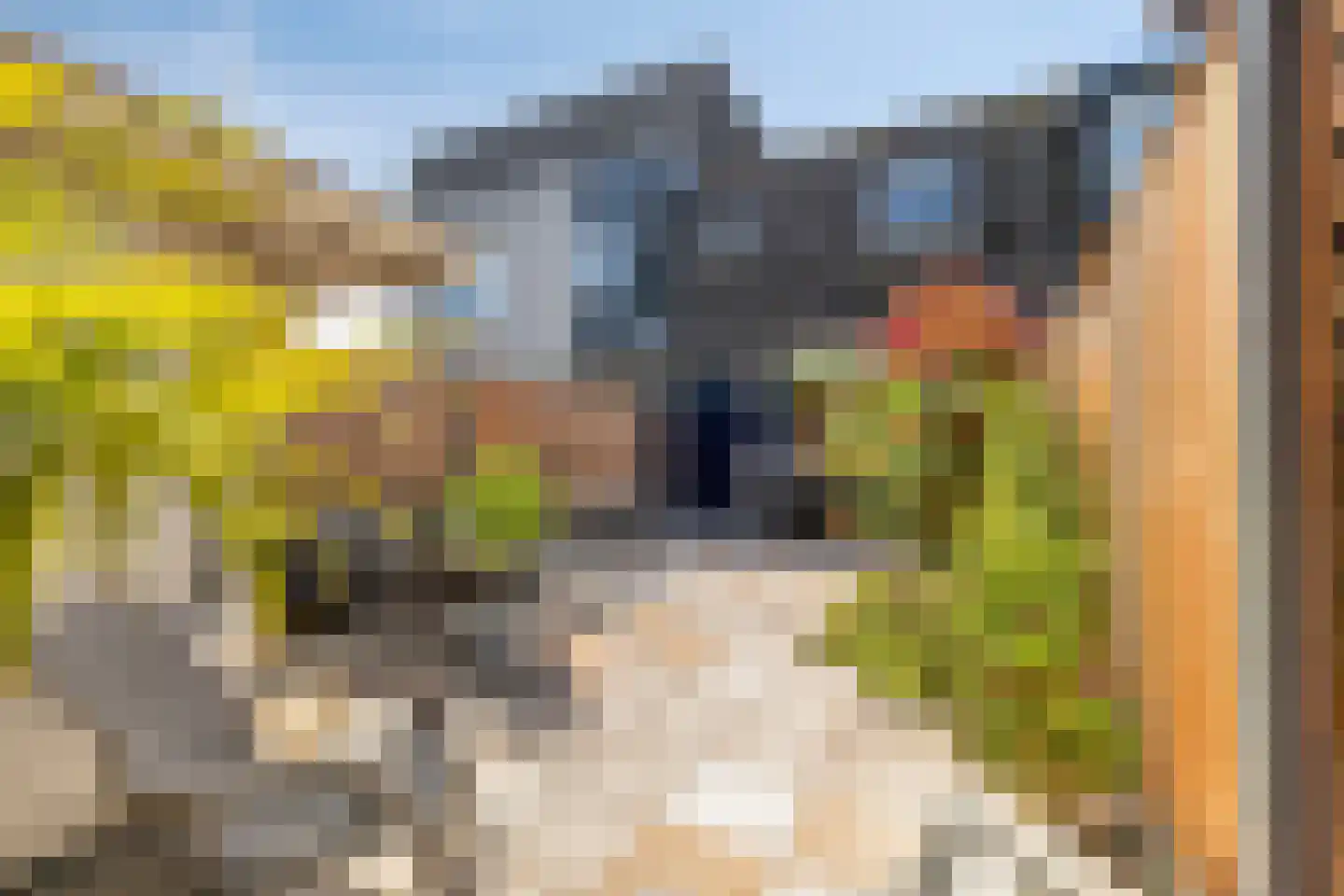 De Velden 35 Schiedam thumbnail 24
