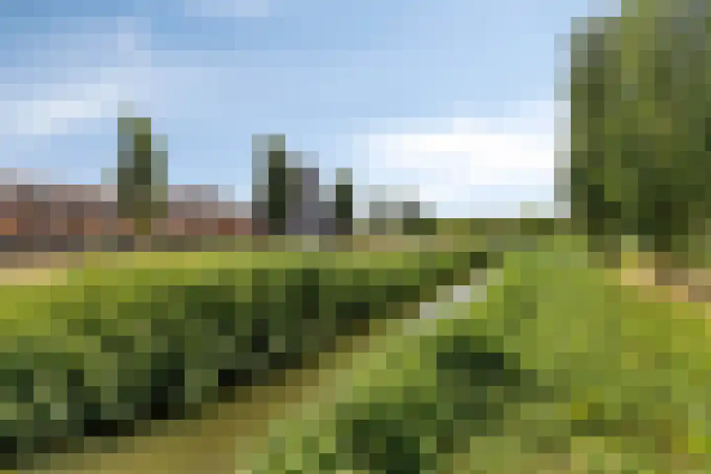 De Velden 35 Schiedam thumbnail 29