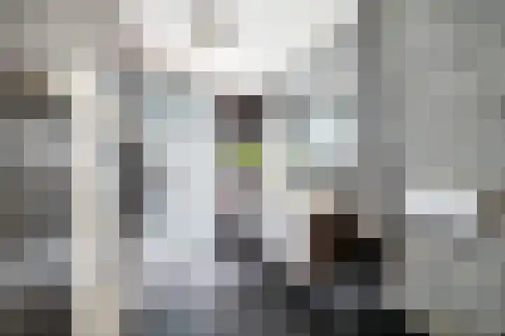 De Velden 63 Schiedam thumbnail 31