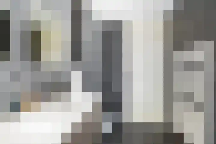 De Velden 63 Schiedam thumbnail 32