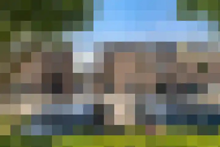 De Velden 63 Schiedam thumbnail 5