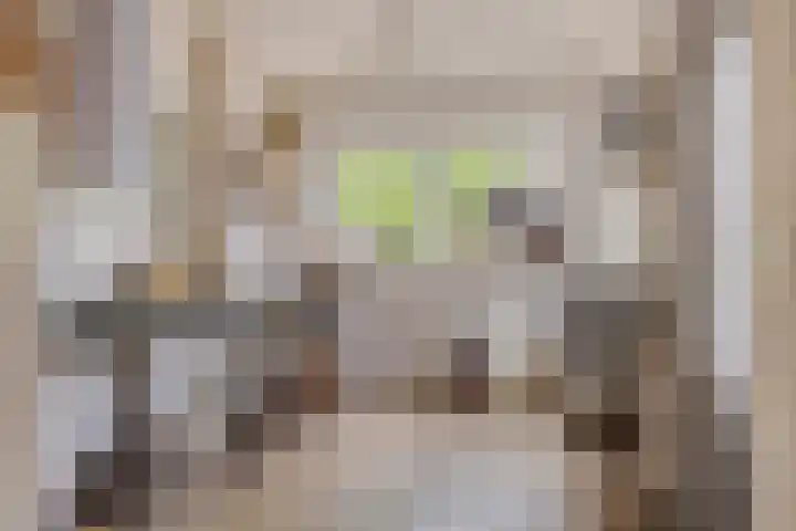 de Veldkamp 1 Gieten thumbnail 20
