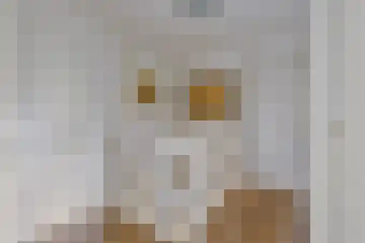 de Veldkamp 1 Gieten thumbnail 22
