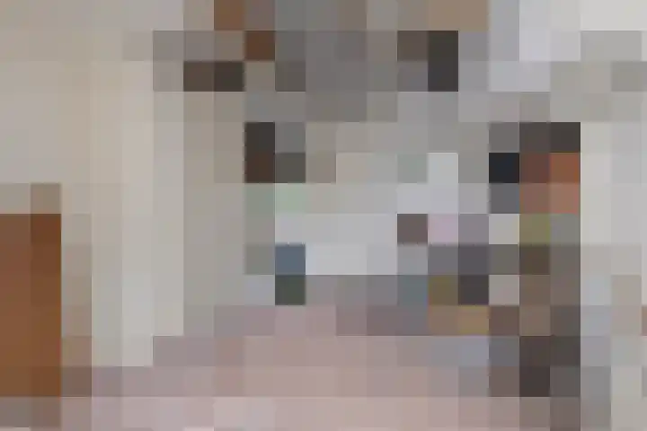 de Veldkamp 1 Gieten thumbnail 34