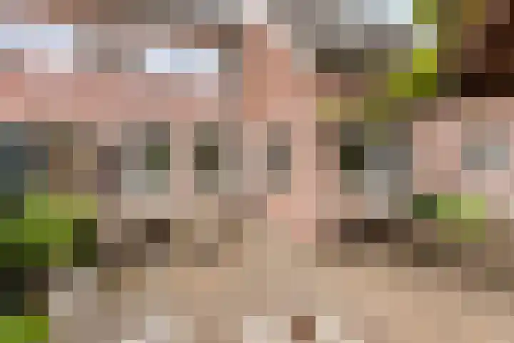 de Veldkamp 1 Gieten thumbnail 35