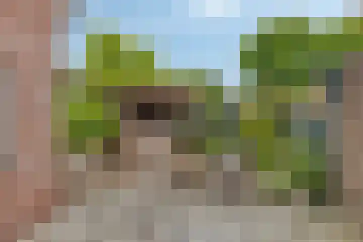 de Veldkamp 1 Gieten thumbnail 36