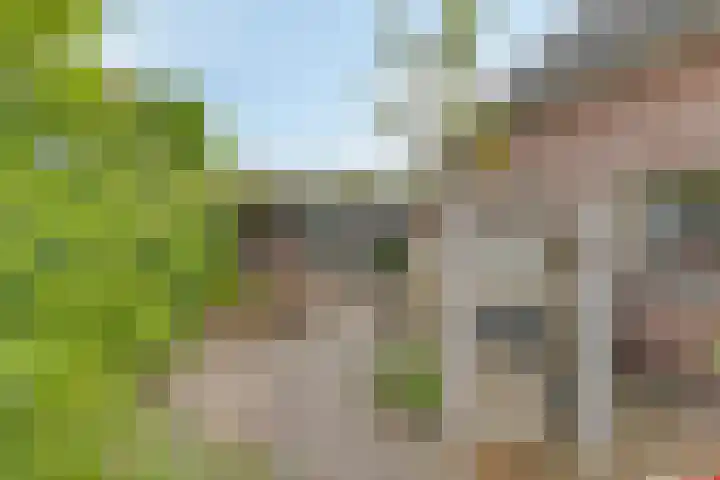 de Veldkamp 1 Gieten thumbnail 38