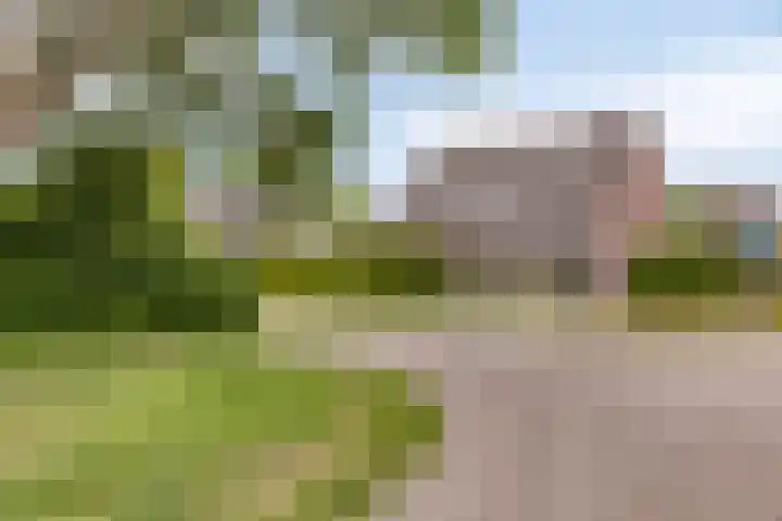 de Veldkamp 1 Gieten thumbnail 43