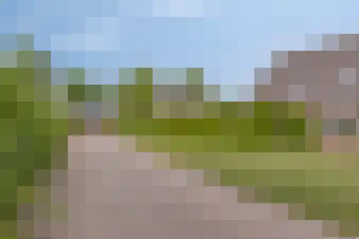 de Veldkamp 1 Gieten thumbnail 44