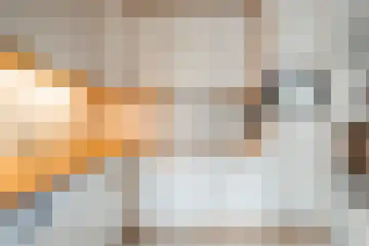 De Veldse Hofstede 100 Zetten thumbnail 15