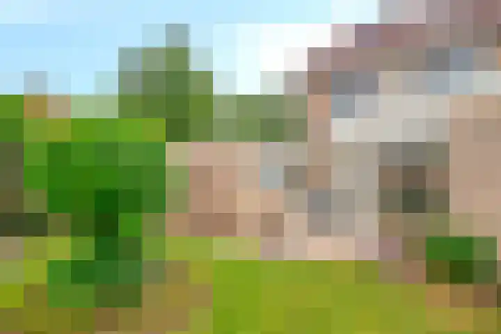 De Veldse Hofstede 100 Zetten foto 2