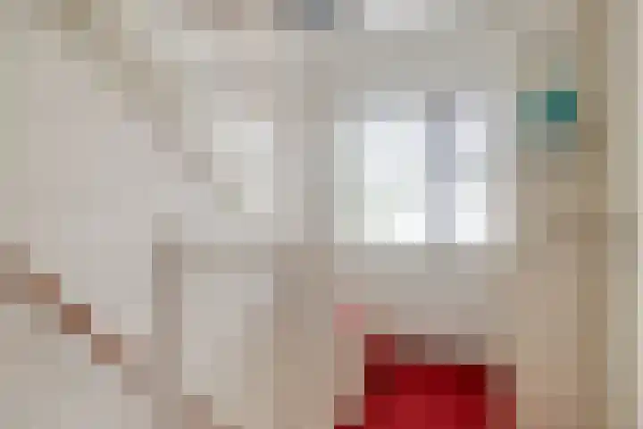De Veldse Hofstede 100 Zetten thumbnail 20