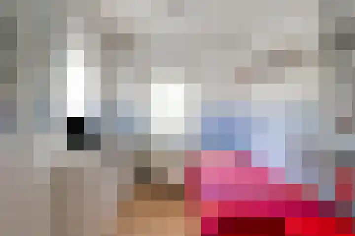 De Veldse Hofstede 100 Zetten thumbnail 21
