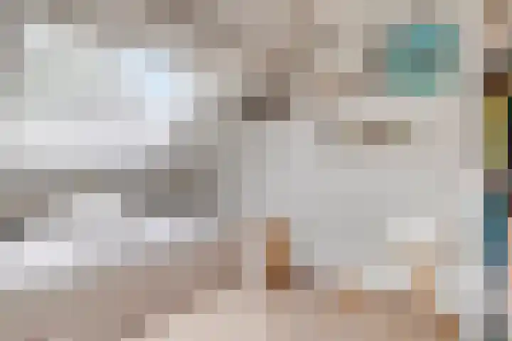 De Veldse Hofstede 100 Zetten thumbnail 32