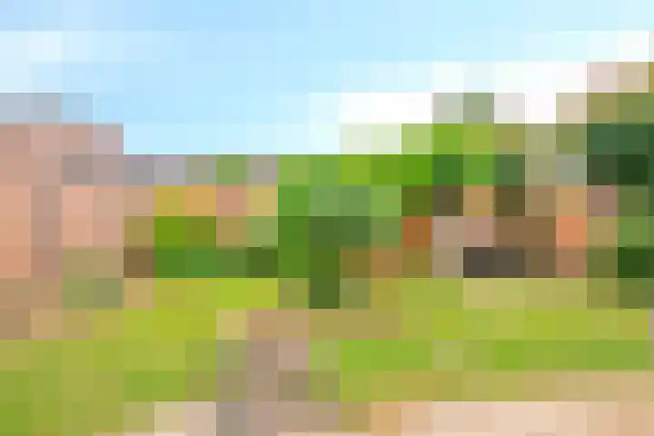 De Veldse Hofstede 100 Zetten thumbnail 37