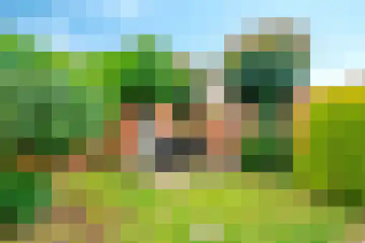 De Veldse Hofstede 100 Zetten thumbnail 38