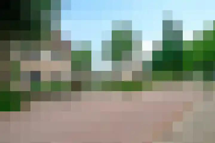 De Veldse Hofstede 100 Zetten thumbnail 39