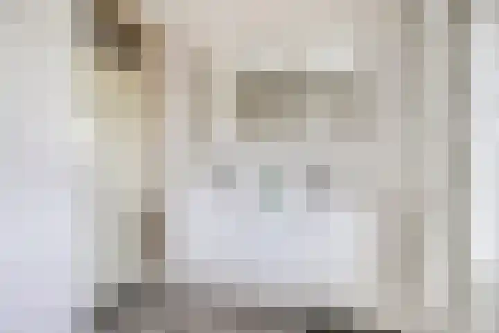 De Veldse Hofstede 100 Zetten thumbnail 4