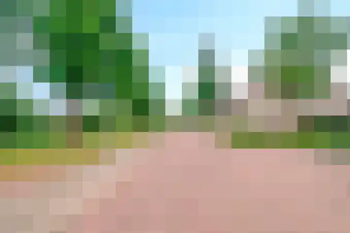 De Veldse Hofstede 100 Zetten thumbnail 40