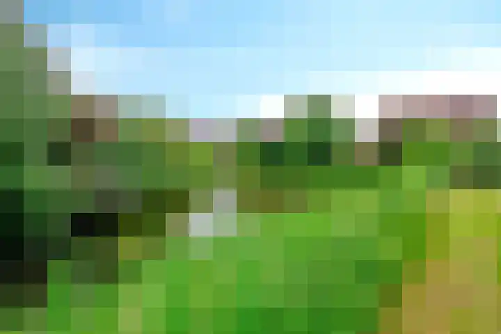 De Veldse Hofstede 100 Zetten thumbnail 41