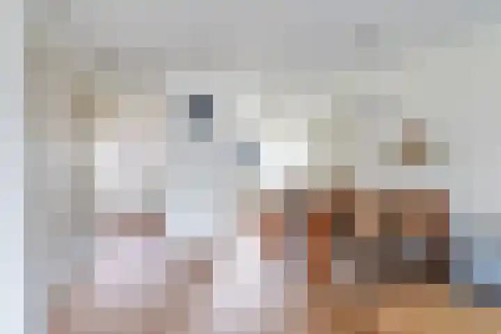 De Veldse Hofstede 16 Zetten thumbnail 20