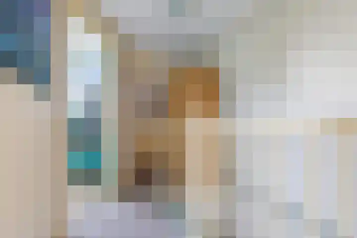 De Veldse Hofstede 16 Zetten thumbnail 43