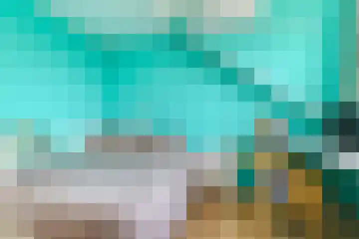 De Veldse Hofstede 16 Zetten thumbnail 44