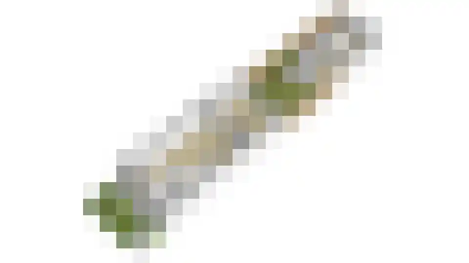 De Veldse Hofstede 16 Zetten thumbnail 51