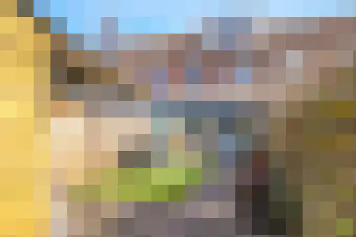 De Veldse Hofstede 16 Zetten thumbnail 52