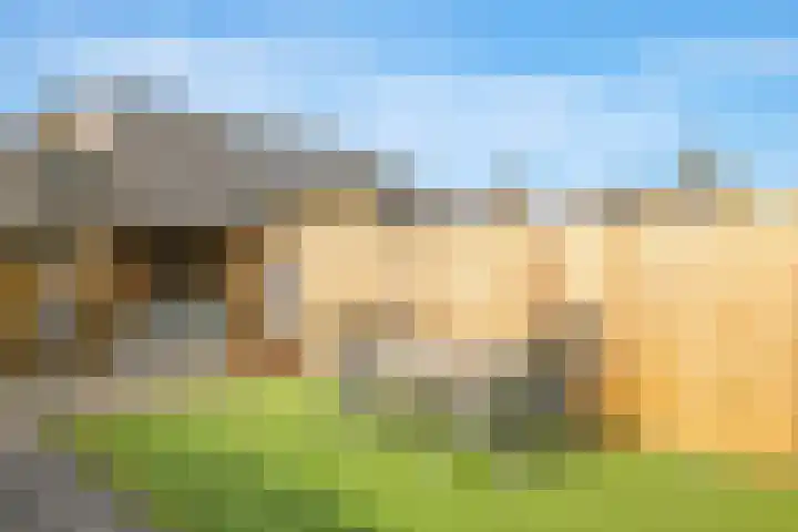 De Veldse Hofstede 16 Zetten thumbnail 60