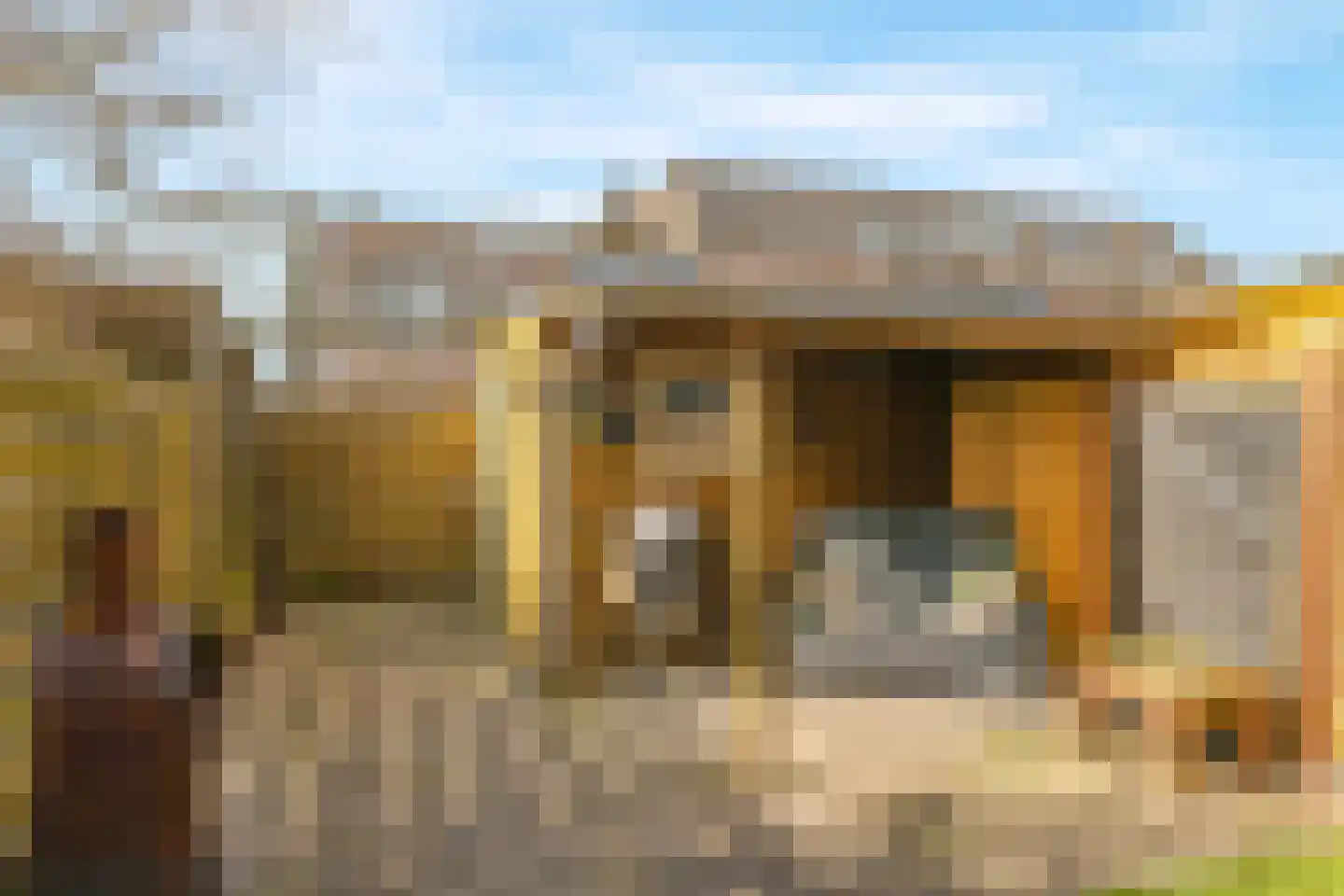 De Veldse Hofstede 16 Zetten thumbnail 61