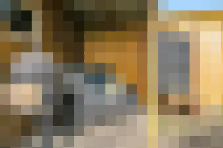 De Veldse Hofstede 16 Zetten thumbnail 62