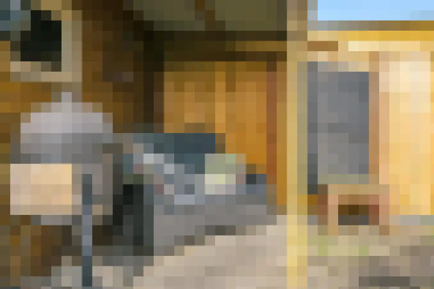 De Veldse Hofstede 16 Zetten thumbnail 62