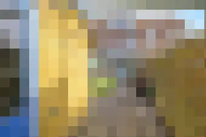 De Veldse Hofstede 16 Zetten thumbnail 64