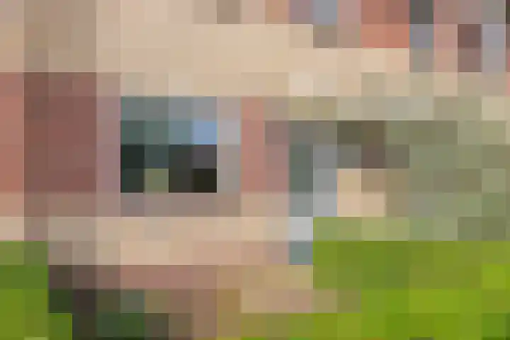 De Veldse Hofstede 16 Zetten thumbnail 67