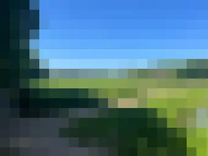 De Veldse Hofstede 16 Zetten thumbnail 79