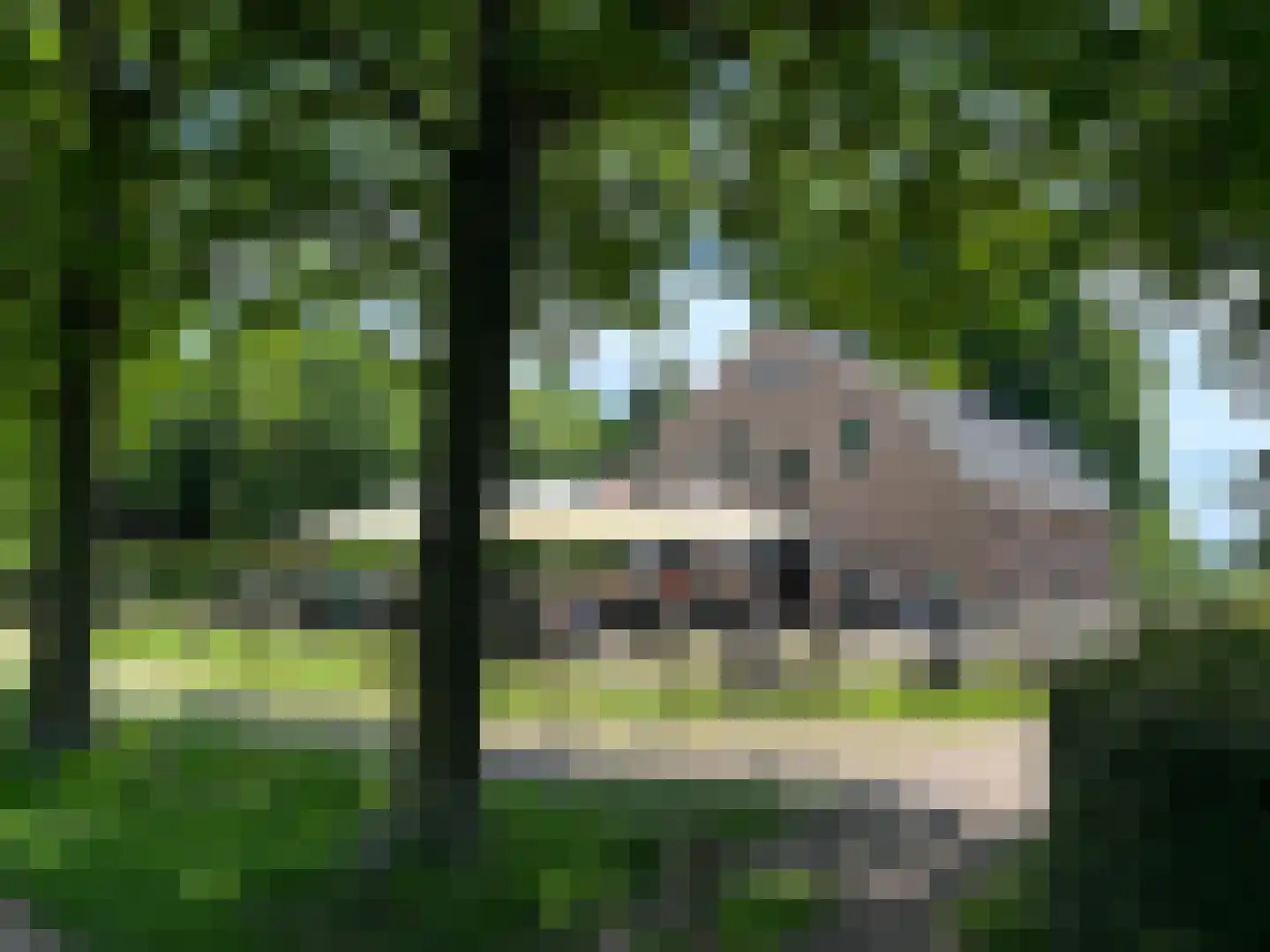De Veldse Hofstede 16 Zetten thumbnail 82