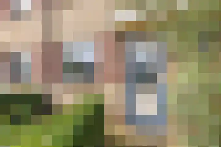 De Veldse Hofstede 16 Zetten thumbnail 9