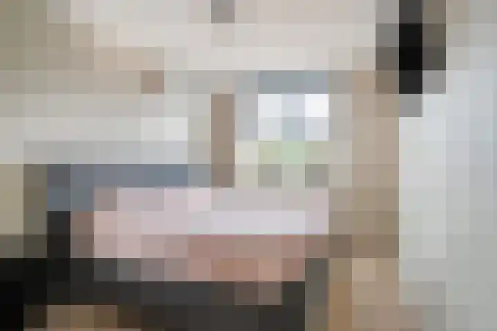 De Veldse Hofstede 54 Zetten thumbnail 24