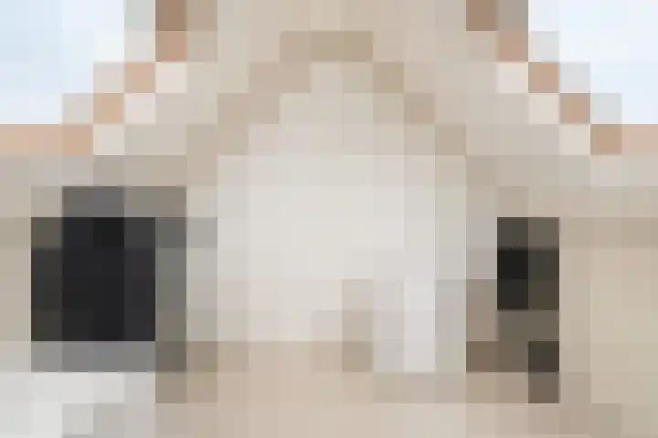 De Veldse Hofstede 54 Zetten thumbnail 31