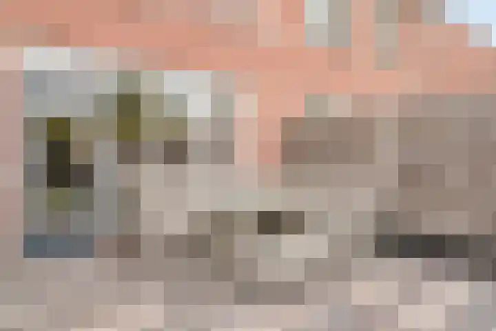 De Veldse Hofstede 54 Zetten thumbnail 33