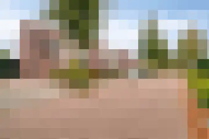 De Veldse Hofstede 54 Zetten thumbnail 6